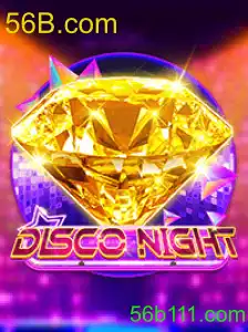DiscoNight